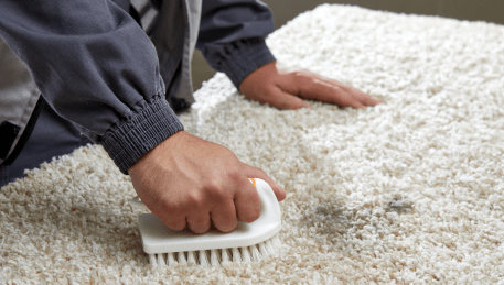 Professional Rug Cleaning Pascoe Vale